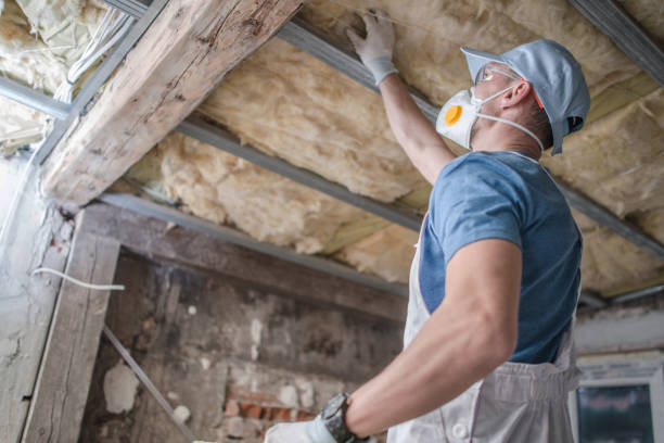 Best Commercial Insulation in Moorhead, MS