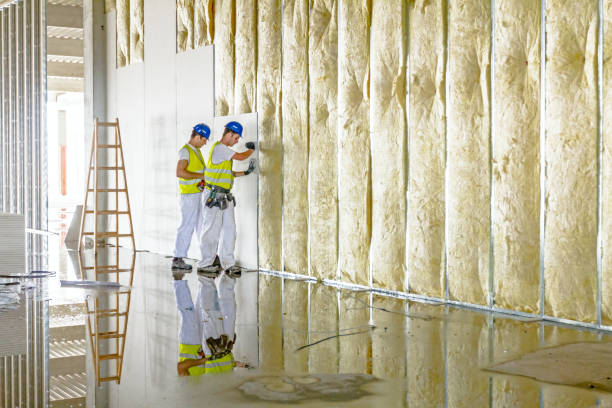 Best Insulation Maintenance and Repair in Moorhead, MS